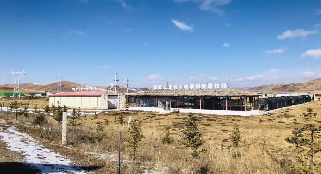 图在.jpg 图在.jpg