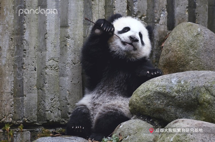 图片2.png 图片2.png