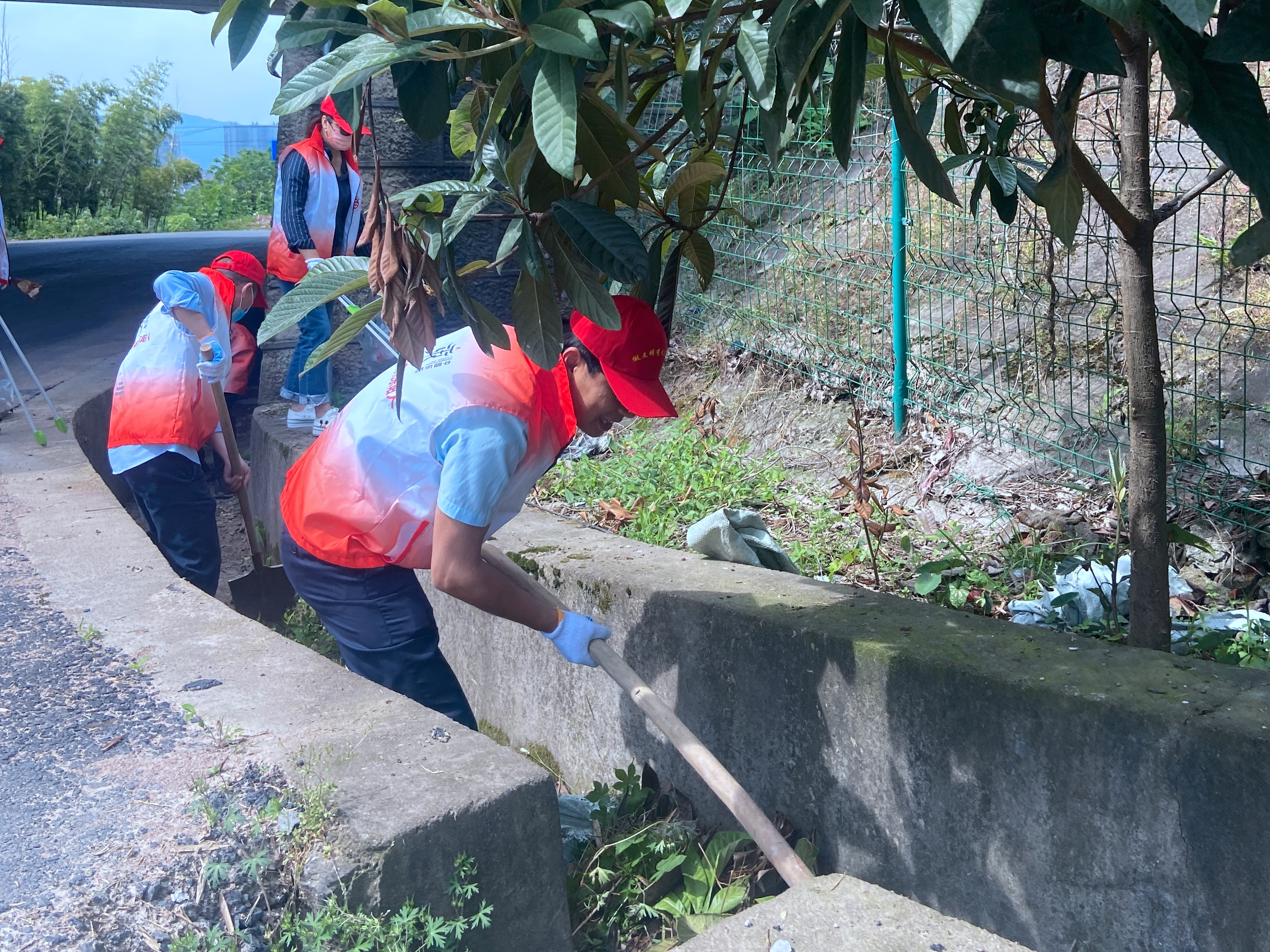 图片1.png 图片1.png