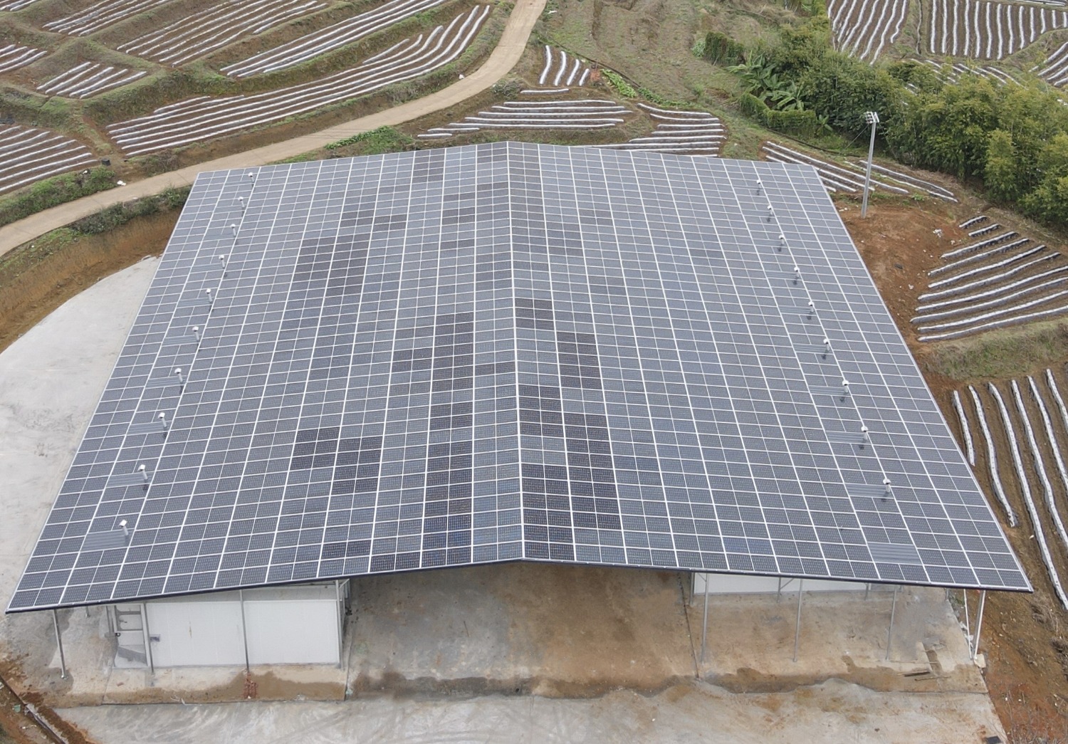 配图1.png 配图1.png