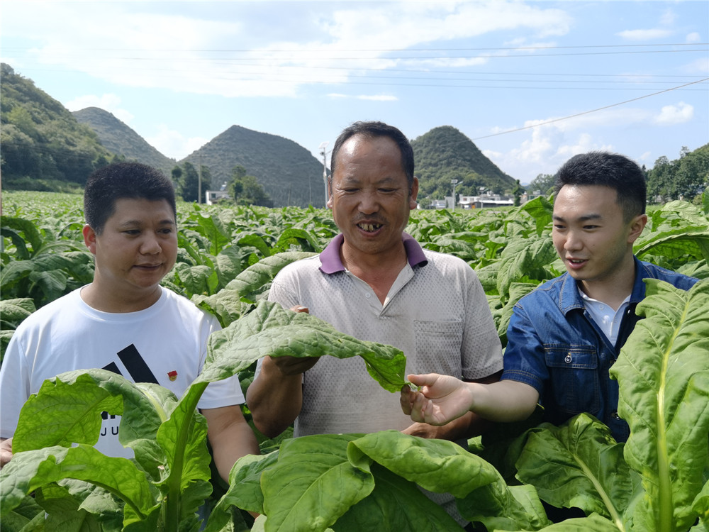 微信图片_20221228115004.jpg 微信图片_20221228115004.jpg