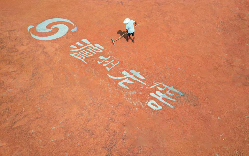 图片3.png 图片3.png