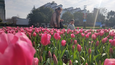 微信图片_20220121193713.jpg 微信图片_20220121193713.jpg