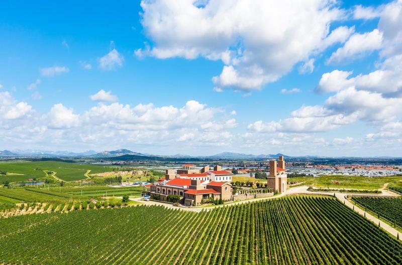 bda4236d-9b6a-4ef9-b693-9c1cb4a2d6e9.jpg bda4236d-9b6a-4ef9-b693-9c1cb4a2d6e9.jpg