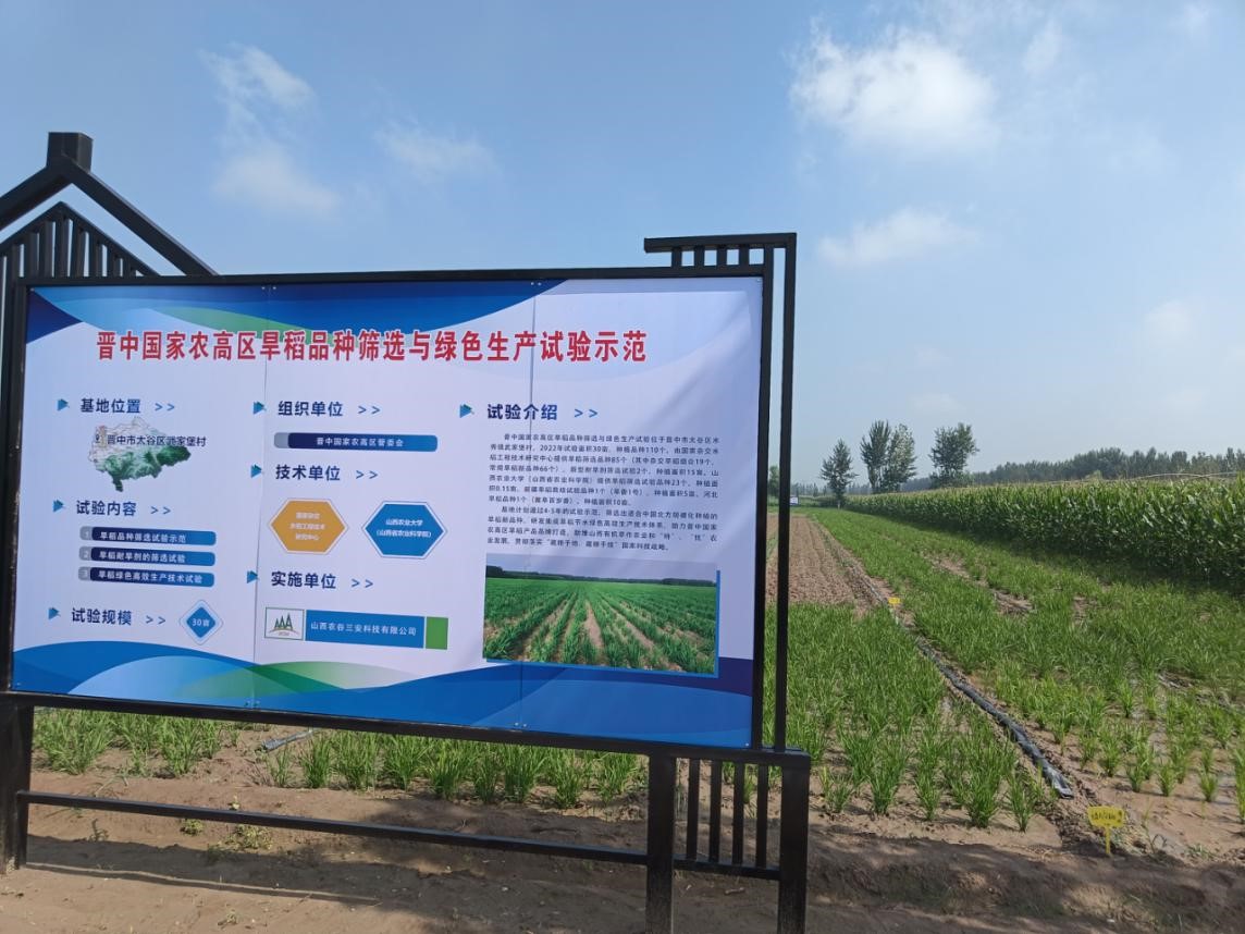 农高区试验区.jpg 农高区试验区.jpg