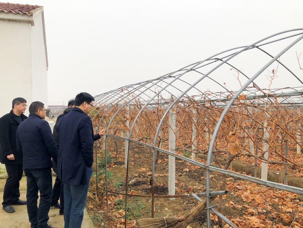 图片1.png 图片1.png