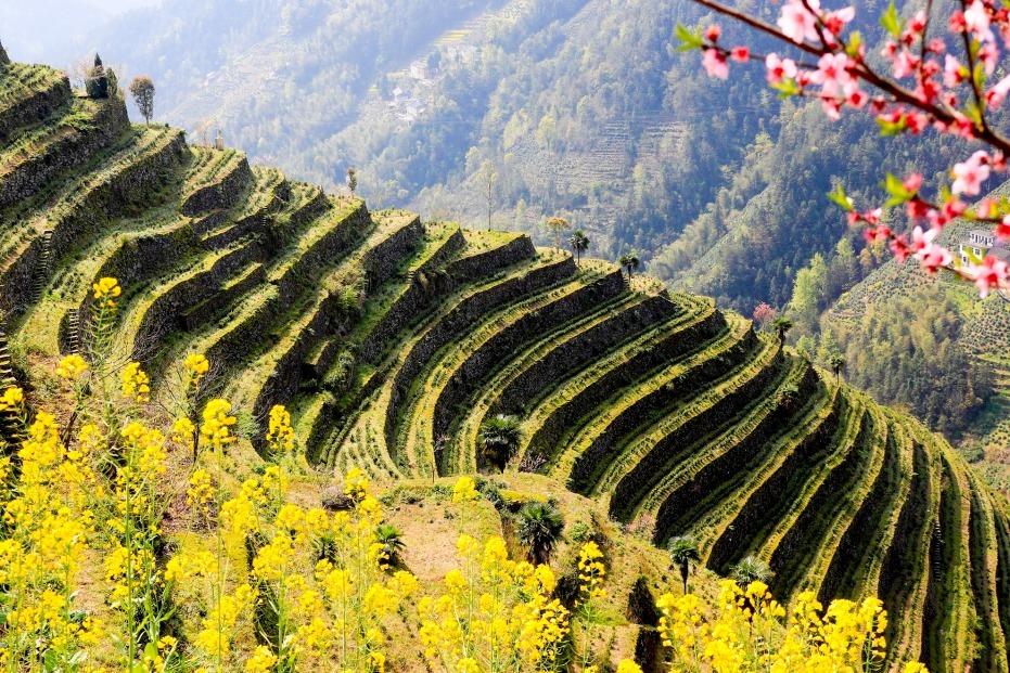 图片4.png 图片4.png