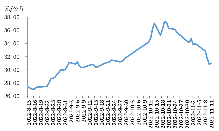 W020221115396831103296