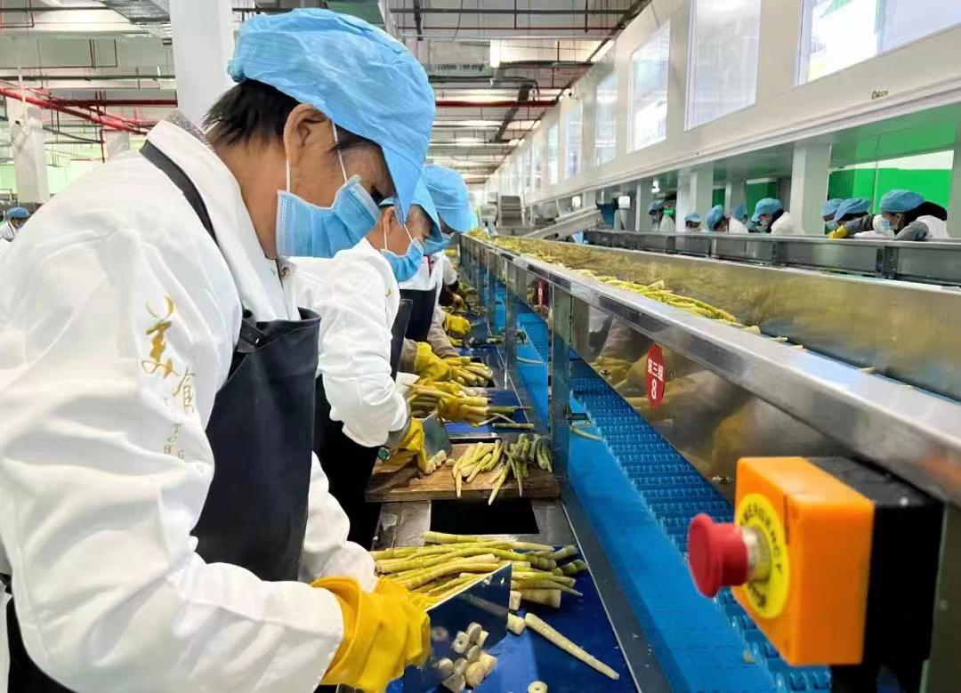 28 贵州省桐梓县方竹笋生产加工线。新华社发（贵州娄山产业投资集团有限公司供图）.jpg