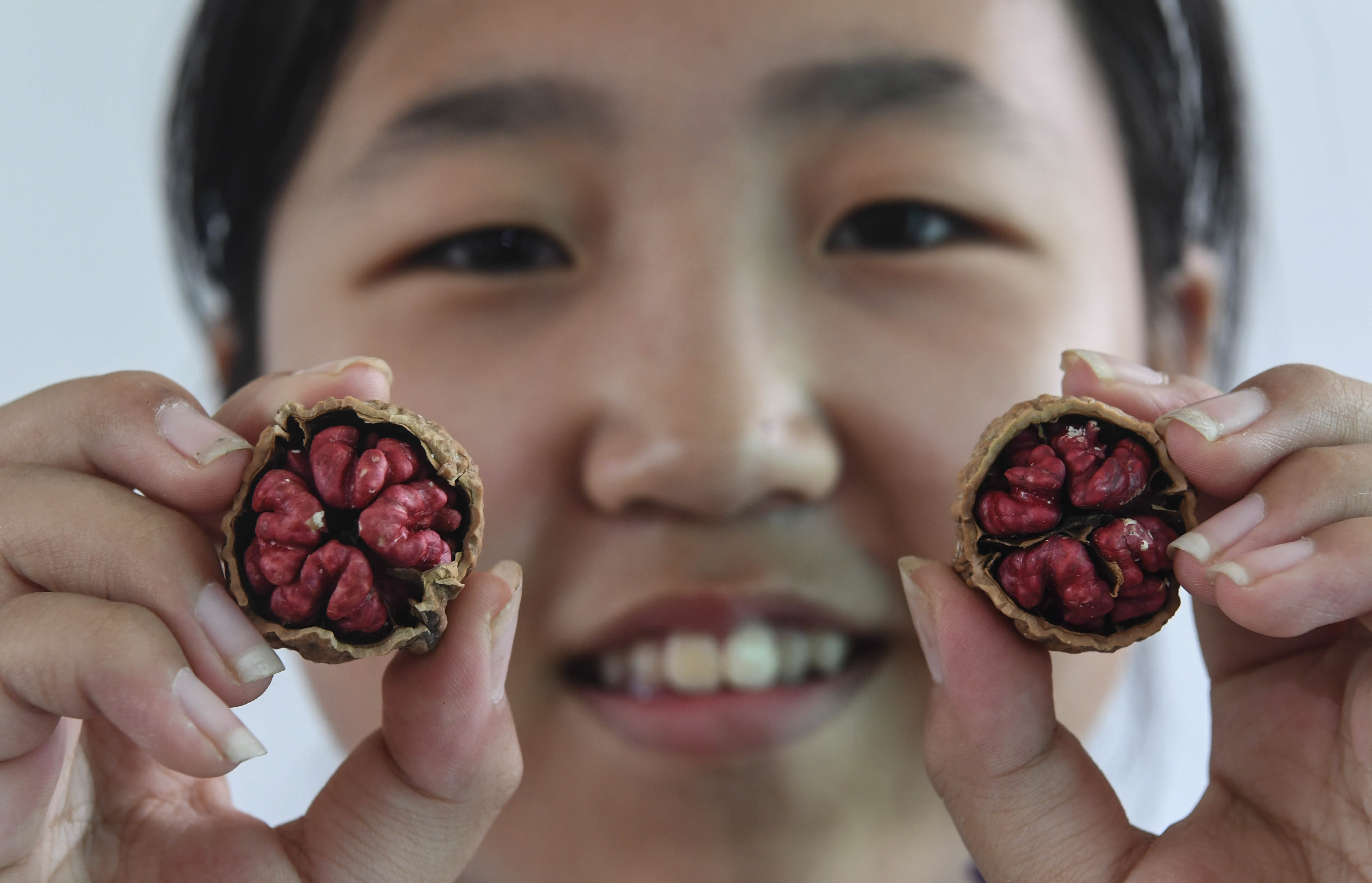 25 陕西省洛南县，一名小朋友向参观者展示红仁核桃。新华社记者 陶明 摄.jpg