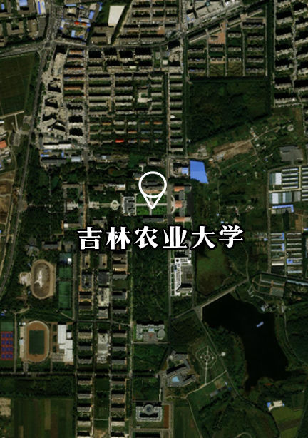 1129364215_16763623273481n