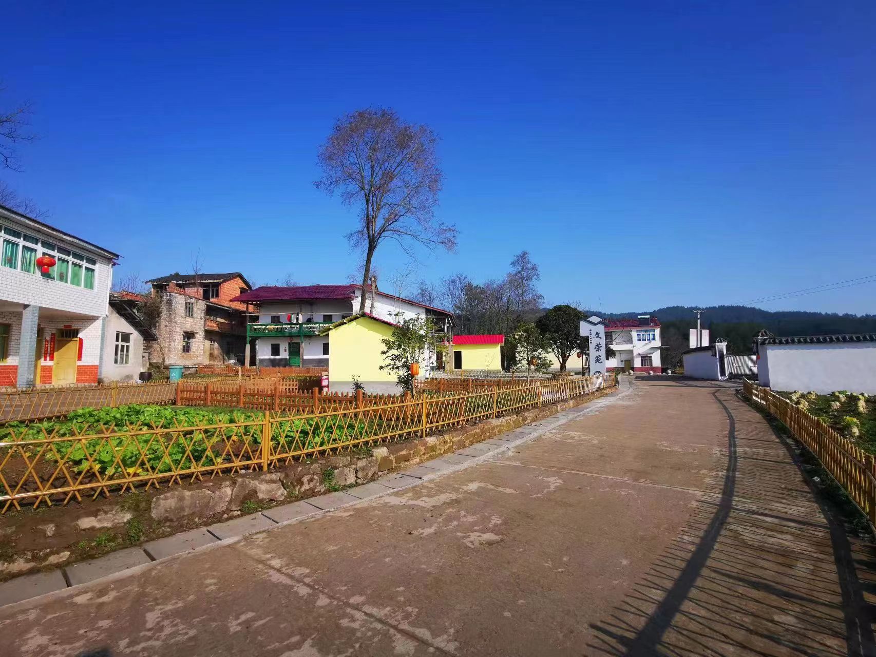 《大好前景,就在眼前》的报道,由重庆市万州区白土镇人头村烟农张小明