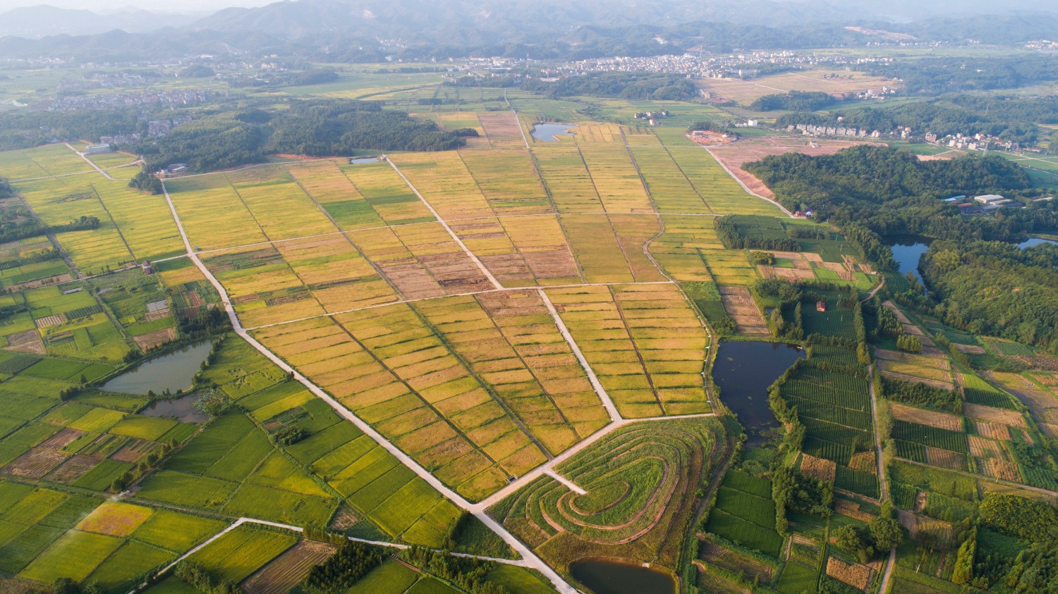 荒地生金 富美与共——浙江江山土地整治见闻 - 中国金融信息网
