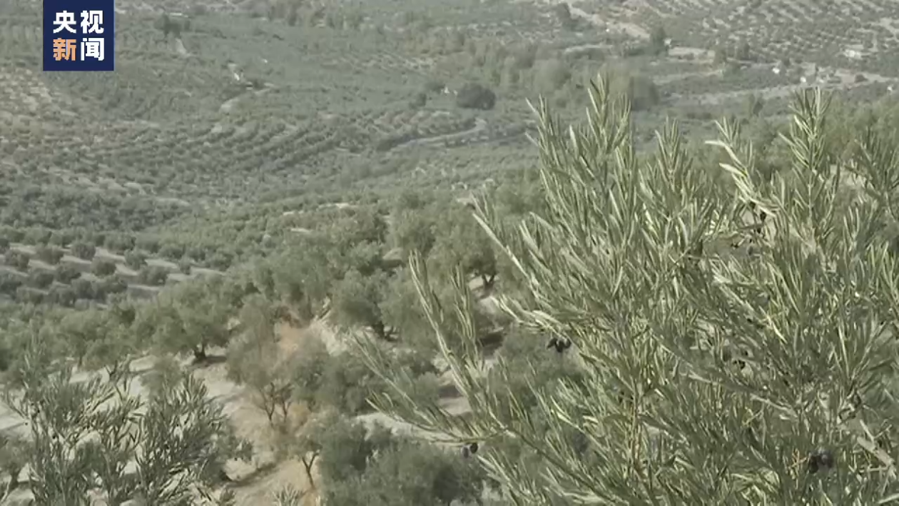 df7f05c01f3137e00ec6a82ed831da28