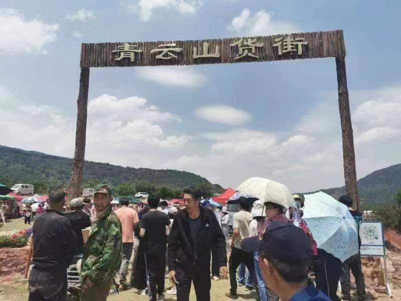 热闹的“青云山货街”.jpg
