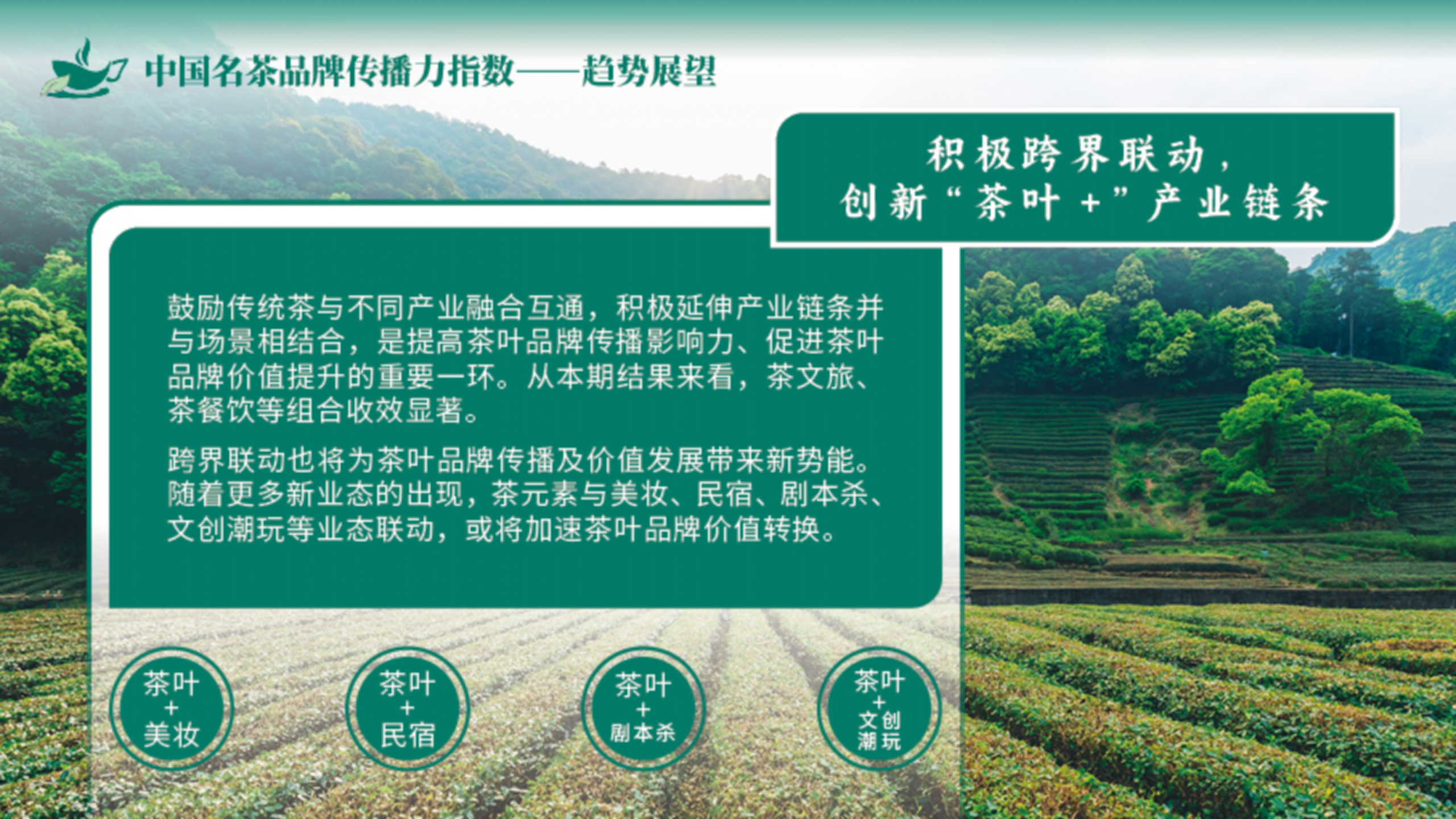 （终终）中国名茶指数ppt_21.png